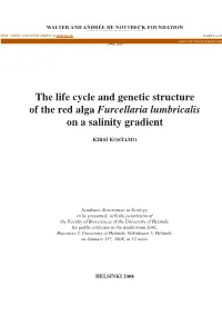 The Life Cycle and Genetic Structure of the Red Alga Furcellaria Lumbricalis on a Salinity Gradient