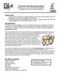 Fossil Hunt with Scope-On-A-Rope By: Adrienne Lopez, LSU SOAR Coordinator (Adapted from an Activity By: Mignon Morgan)