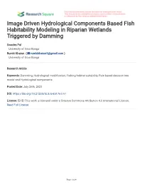 Image Driven Hydrological Components Based Fish Habitability Modeling in Riparian Wetlands Triggered by Damming