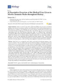 A Descriptive Overview of the Medical Uses Given to Mentha Aromatic Herbs Throughout History