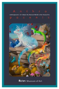 Download a PDF of the Anthropocenic Exhibition Gallery Guide