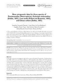 ﻿New Cytogenetic Data for Three Species of Pentatomidae