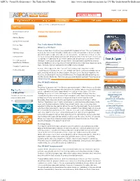 ASPCA - Virtual Pet Behaviorist - the Truth About Pit Bulls