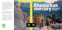 Mercuryaddressing Primary Mercury Mining in Kyrgyzstan
