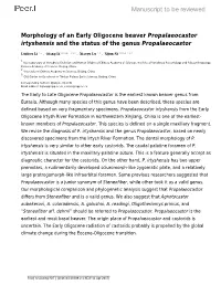 Morphology of an Early Oligocene Beaver Propalaeocastor Irtyshensis and the Status of the Genus Propalaeocastor