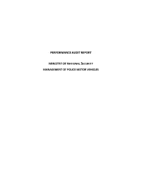 Performance Audit Report