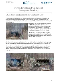 News, Events and Updates at Brompton Academy CCF Brave the Elements for Bushcraft Day