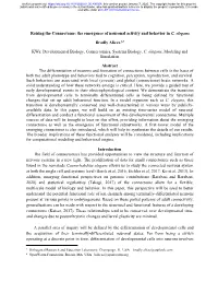 Raising the Connectome: the Emergence of Neuronal Activity and Behavior in C
