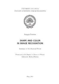 Shape and Color in Image Recognition
