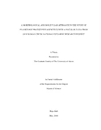 A Morphological and Molecular Approach to the Study Of