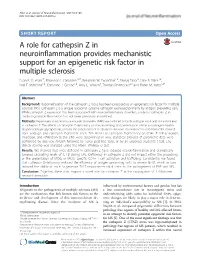 A Role for Cathepsin Z in Neuroinflammation Provides Mechanistic Support for an Epigenetic Risk Factor in Multiple Sclerosis Euan R