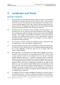 5. Landscape and Visual Executive Summary
