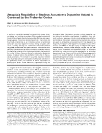 Amygdala Regulation of Nucleus Accumbens Dopamine Output Is Governed by the Prefrontal Cortex