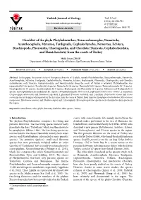 Checklist of the Phyla Platyhelminthes
