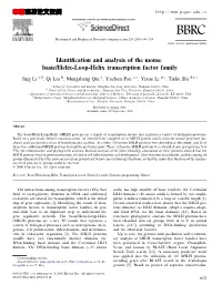 Identification and Analysis of the Mouse Basic/Helix-Loop-Helix