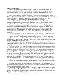 Squid Dissection - Adapted From: A