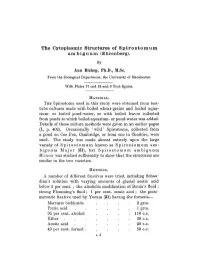 The Cytoplasmic Structures of Spirostomum Ambiguum (Ehrenberg). by Ann Bishop, Ph.D., M.Sc