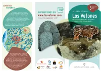 Triptico Los Vetones