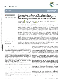 View PDF Version