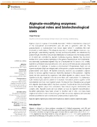 Alginate-Modifying Enzymes: Biological Roles and Biotechnological Uses