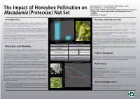 Macadamia Pollination