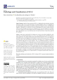 Pathology and Classification of SCLC