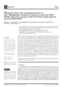 Filling the Gaps in the Cyanobacterial Tree of Life—Metagenome Analysis