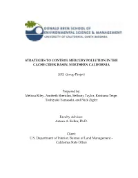 Strategies to Control Mercury Pollution in the Cache Creek Basin, Northern California