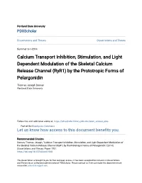 Calcium Transport Inhibition, Stimulation, and Light Dependent Modulation of the Skeletal Calcium Release Channel (Ryr1) by the Prototropic Forms of Pelargonidin