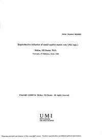 Reproductive Behavior of Small Captive Exotic Cats (Felis Spp.)