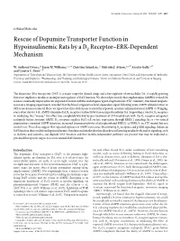 Rescue of Dopamine Transporter Function in Hypoinsulinemic Rats by a D2 Receptor–ERK-Dependent Mechanism