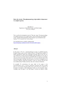 Enter the Avatar. the Phenomenology of Prosthetic Telepresence in Computer Games