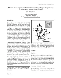 A 16-Year Record of Green and Hawksbill Turtle Nesting Activity at Chagar Hutang Turtle Sanctuary, Redang Island, Malaysia