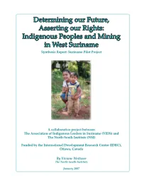 Indigenous Peoples and Mining in West Suriname Synthesis Report: Suriname Pilot Project