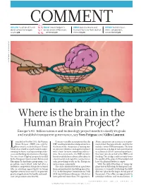 Where Is the Brain in the Human Brain Project?