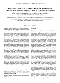 Apoptosis-Related Gene Expression in Tumor Tissue Samples Obtained from Patients Diagnosed with Glioblastoma Multiforme