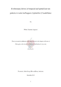 Evolutionary Drivers of Temporal and Spatial Host Use Patterns in Restio Leafhoppers Cephalelini (Cicadellidae)