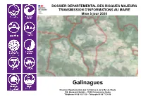 Galinagues Tim 2020