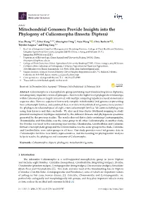 Mitochondrial Genomes Provide Insights Into the Phylogeny of Culicomorpha (Insecta: Diptera)