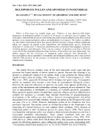 Multiporate Pollen and Apomixis in Panicoideae