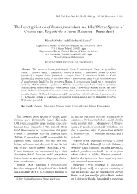 The Lectotypification of Prunus Jamasakura and Allied Native