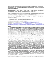 Morphological, Physicochemical and Functional Differentiation Between Genetic Groups, Consumption Patterns and Preferences