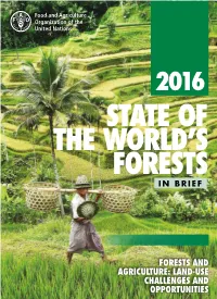 State of the World's Forests