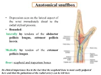 Anatomical Snuffbox