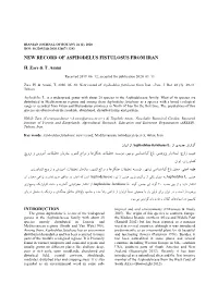 New Record of Asphodelus Fistulosus from Iran
