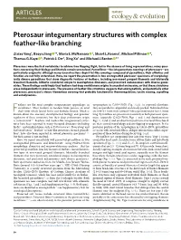 Pterosaur Integumentary Structures with Complex Feather-Like Branching
