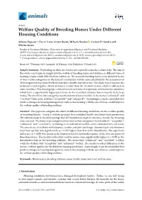 Welfare Quality of Breeding Horses Under Different Housing Conditions