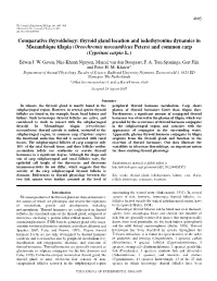 Comparative Thyroidology: Thyroid Gland Location and Iodothyronine