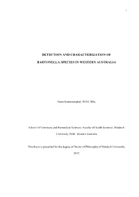 Detection and Characterization of Bartonella Species in Western Australia