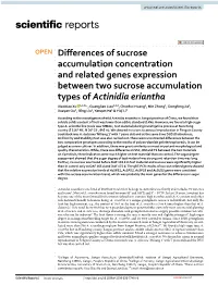 Differences of Sucrose Accumulation Concentration and Related Genes Expression Between Two Sucrose Accumulation Types of Actinid